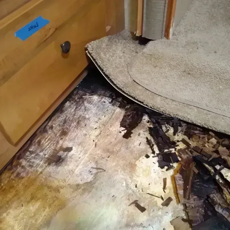 Best Wood Floor Water Damage Service in Loveland, CO